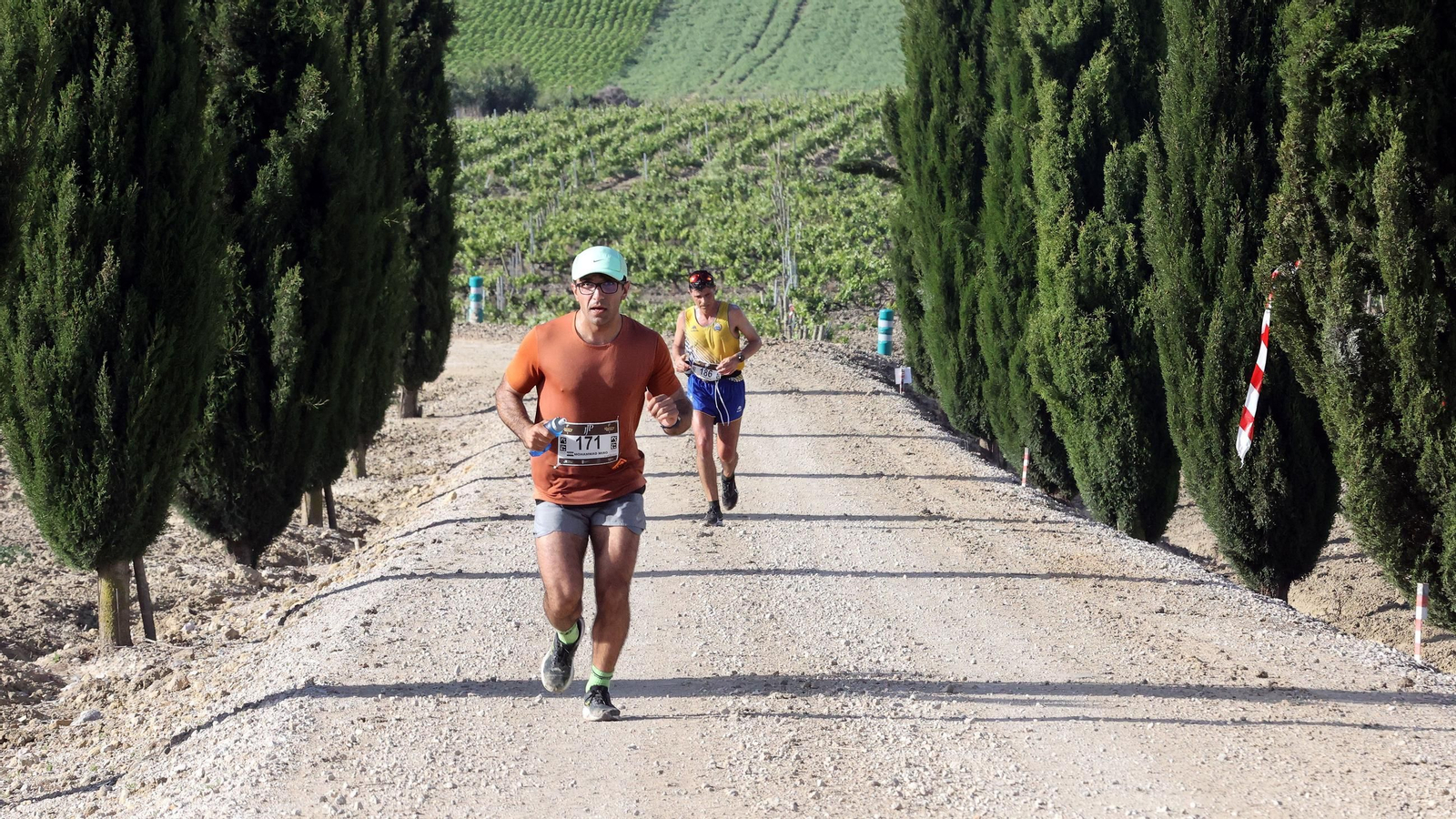 Búscate en la Sherry Maratón 2025 de Jerez (I)