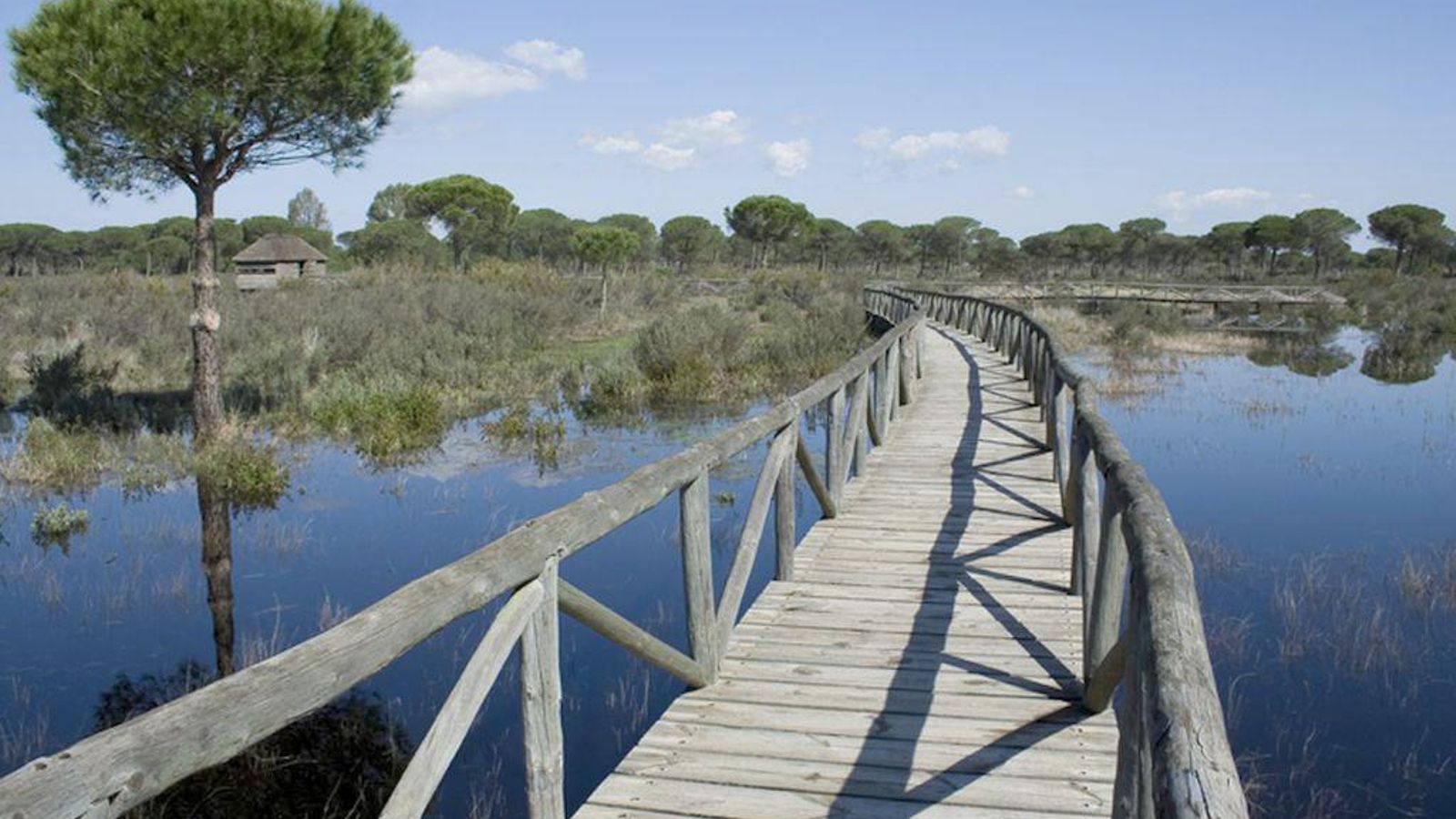 Senderos señalizados en el entorno de Doñana