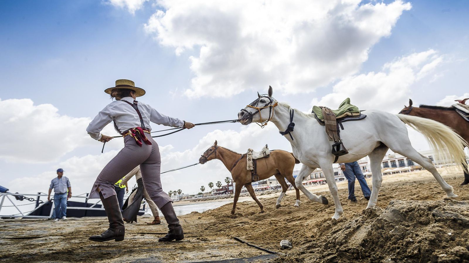 El caballo marismeño