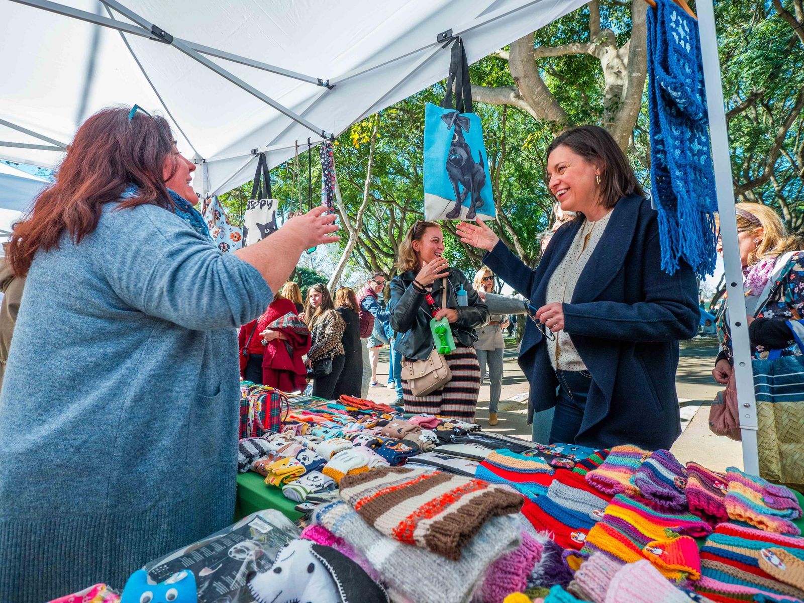 Las imágenes de San Antón 2025 en San Fernando