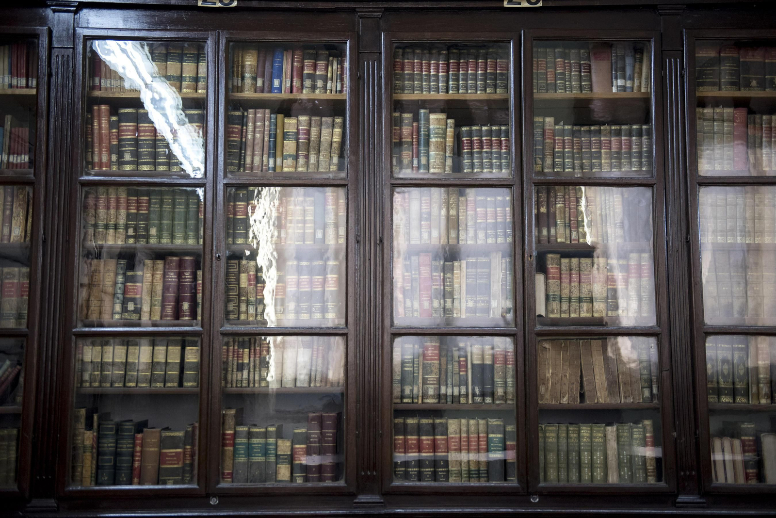 Los tesoros del IES Padre Suárez