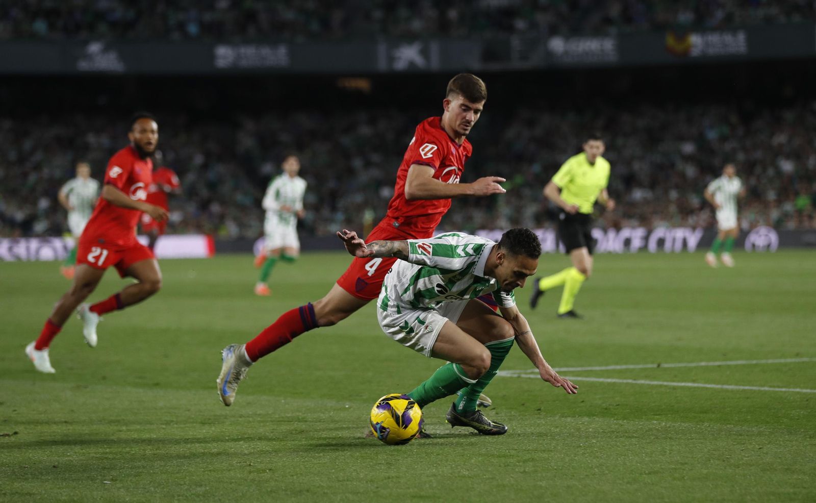 Las fotos del Betis - Sevilla