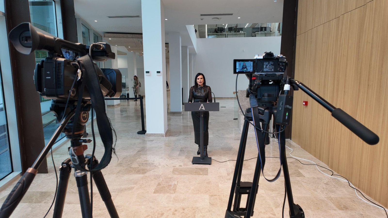 La delegada de Empleo, Mª Dolores Gálvez, durante la rueda de prensa.