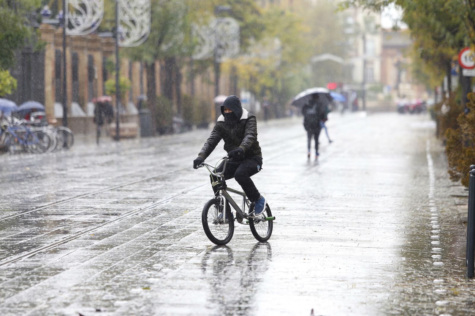 Las imágenes del temporal en Sevilla