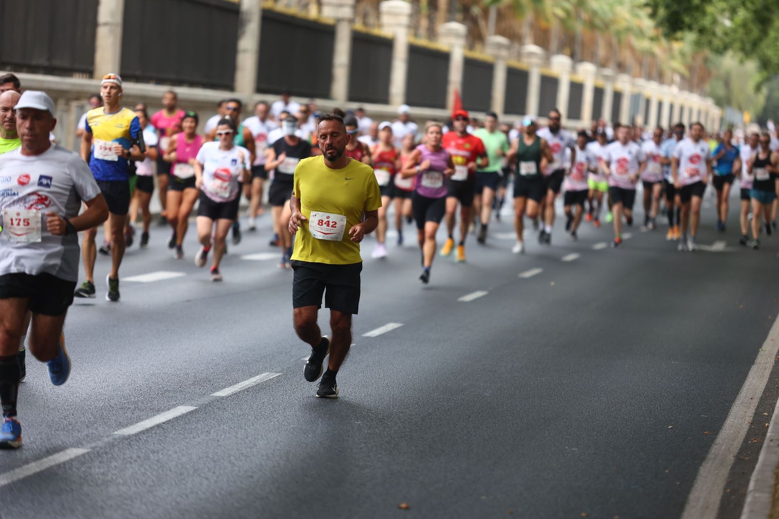 Las mejores fotos de la Carrera Ponle Freno en Málaga