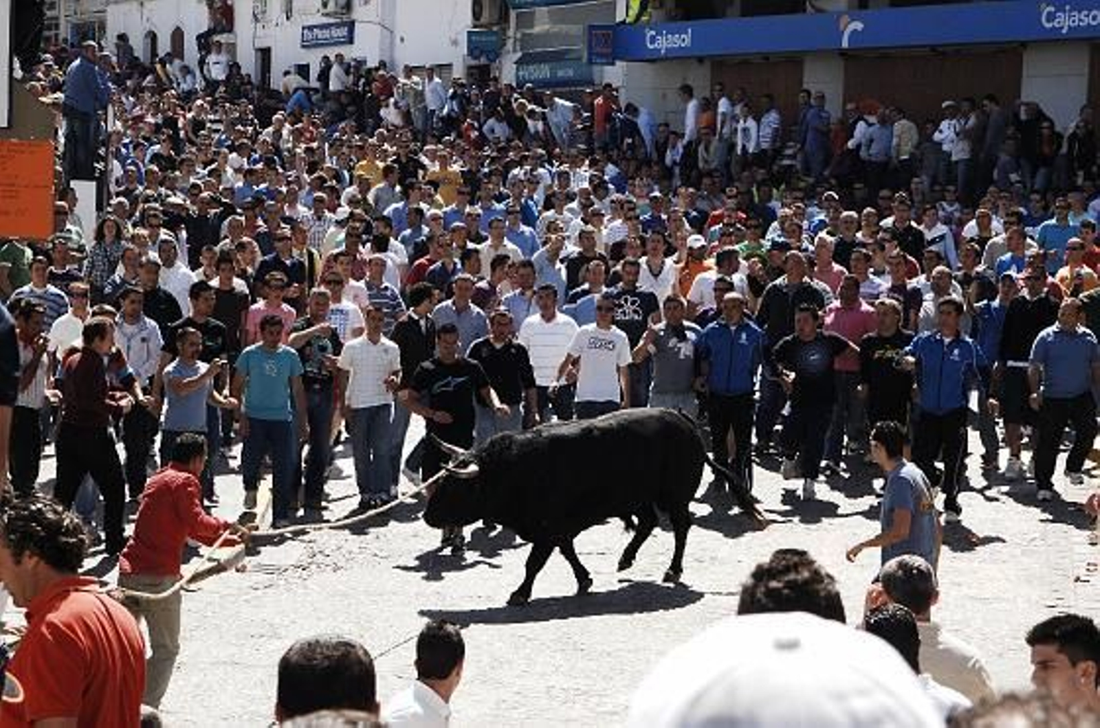 Momento del encierro del primer toro. 

Foto: Ramon Aguilar