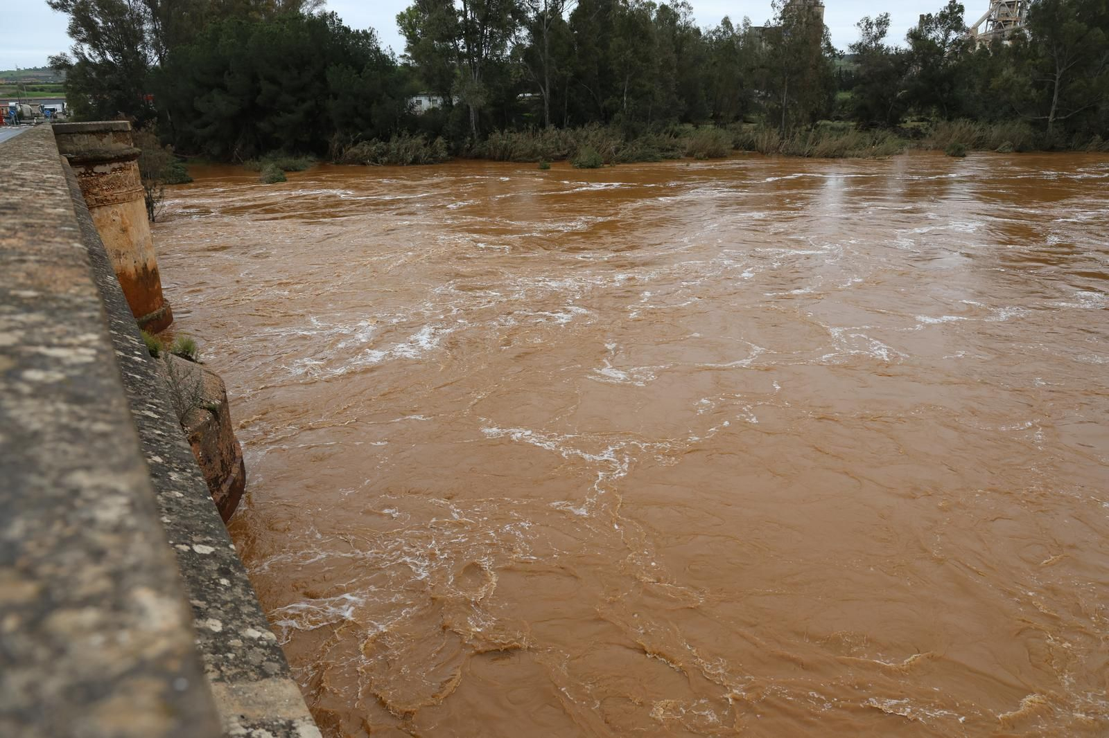 Imágenes del río Tinto a su paso por Niebla tras la borrasca Laurence