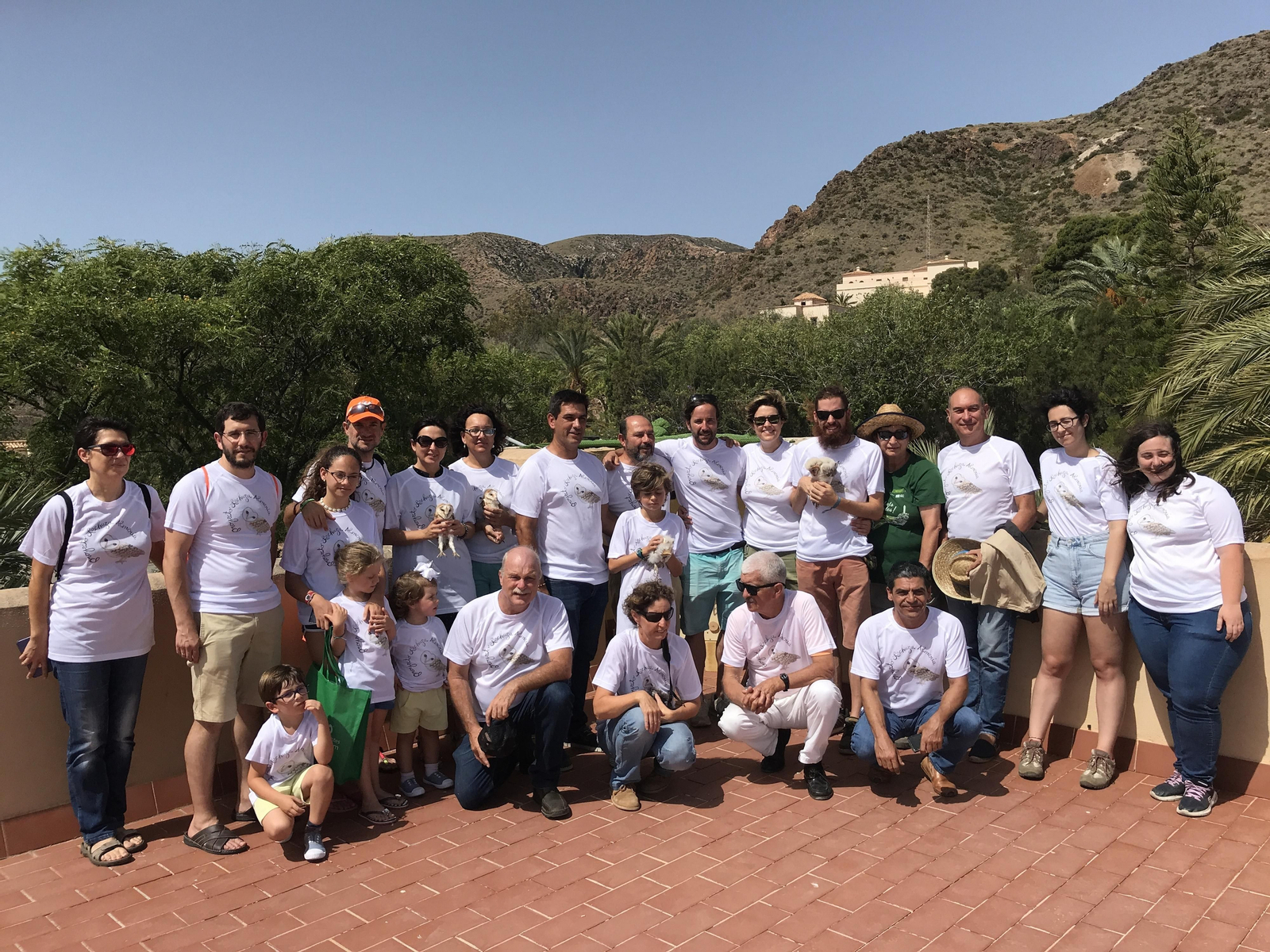 Fotogalería de las nuevas crías de lechuza en Rodalquilar