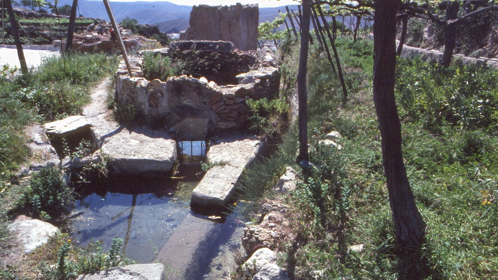 Ganadería y agricultura.