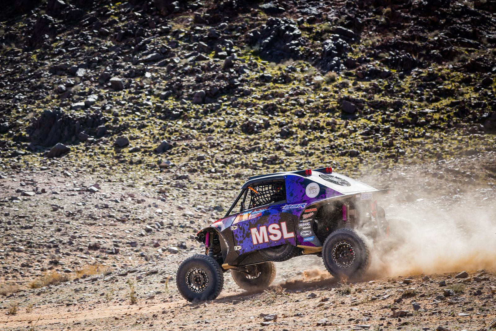 La etapa 9 del Rally Dakar, en fotos