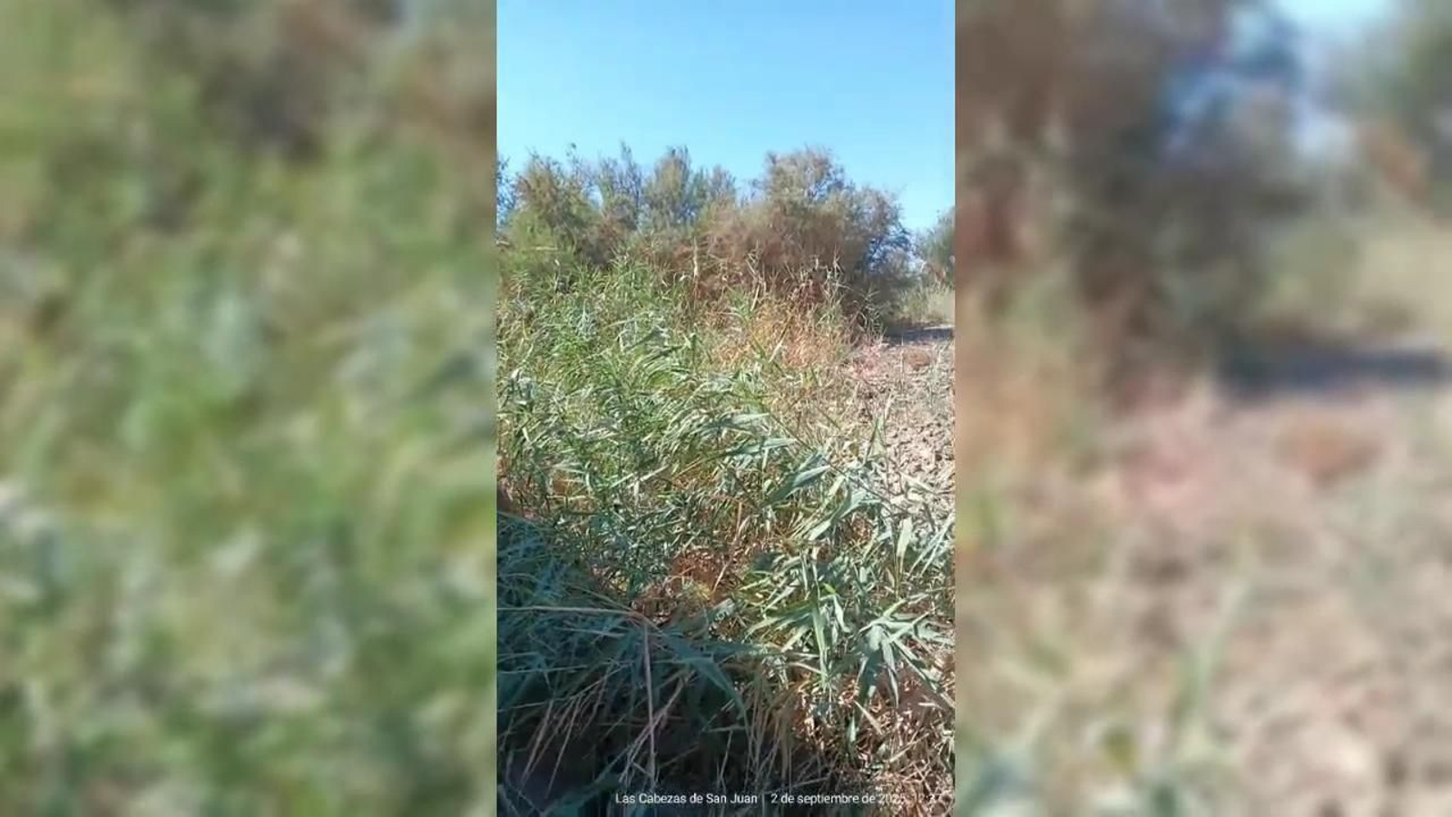 La zona del arroyo de las Pájaras, ahora mismo