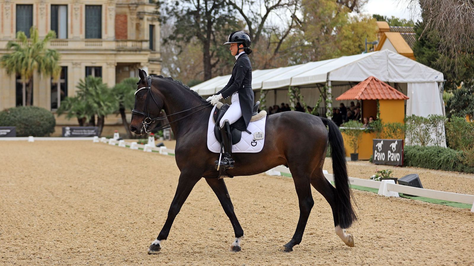 Concurso Internacional de Doma Clásica en La Real Escuela de Jerez
