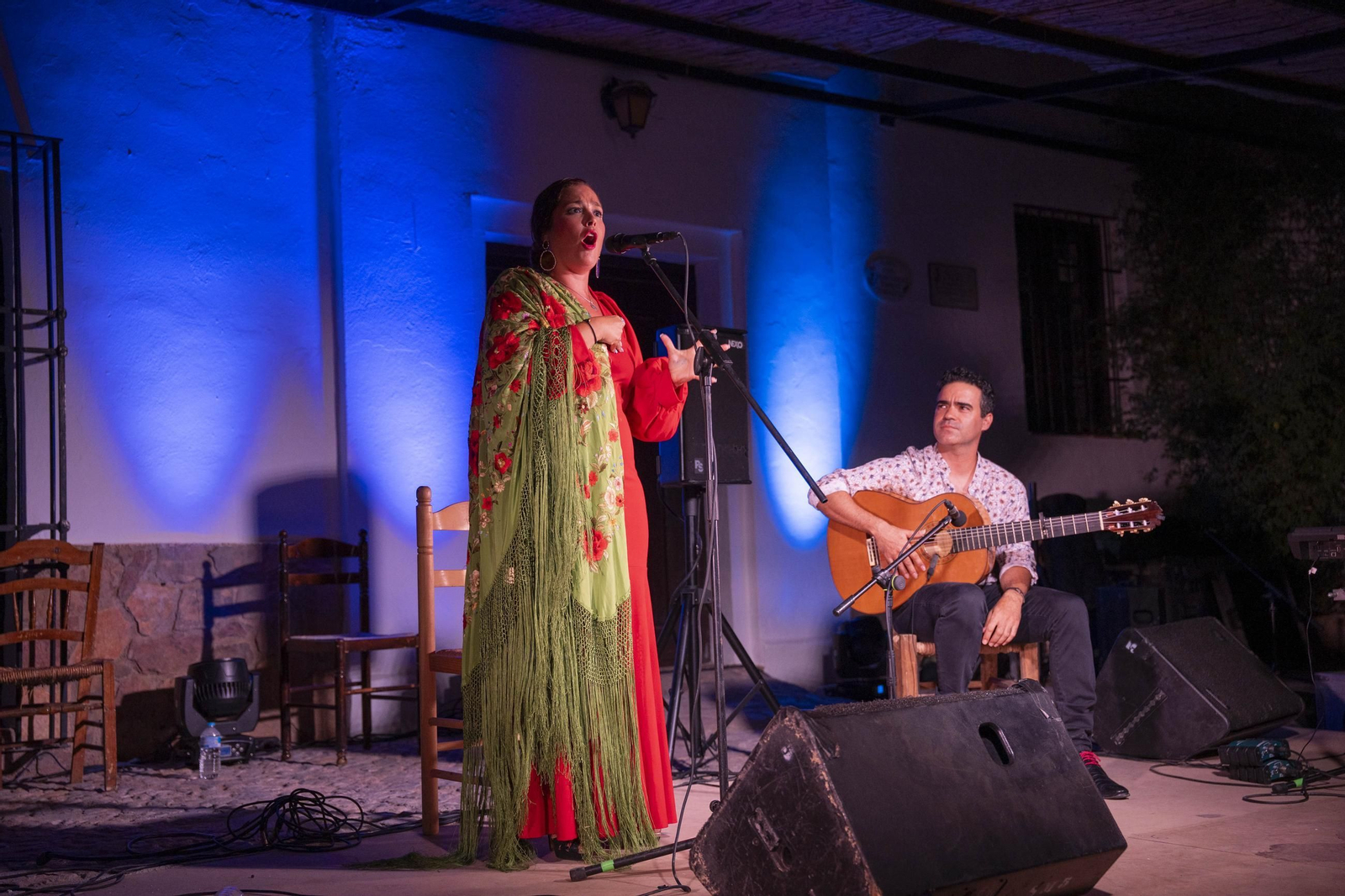 Las mejores imágenes del Festival de Flamenco en Fondón