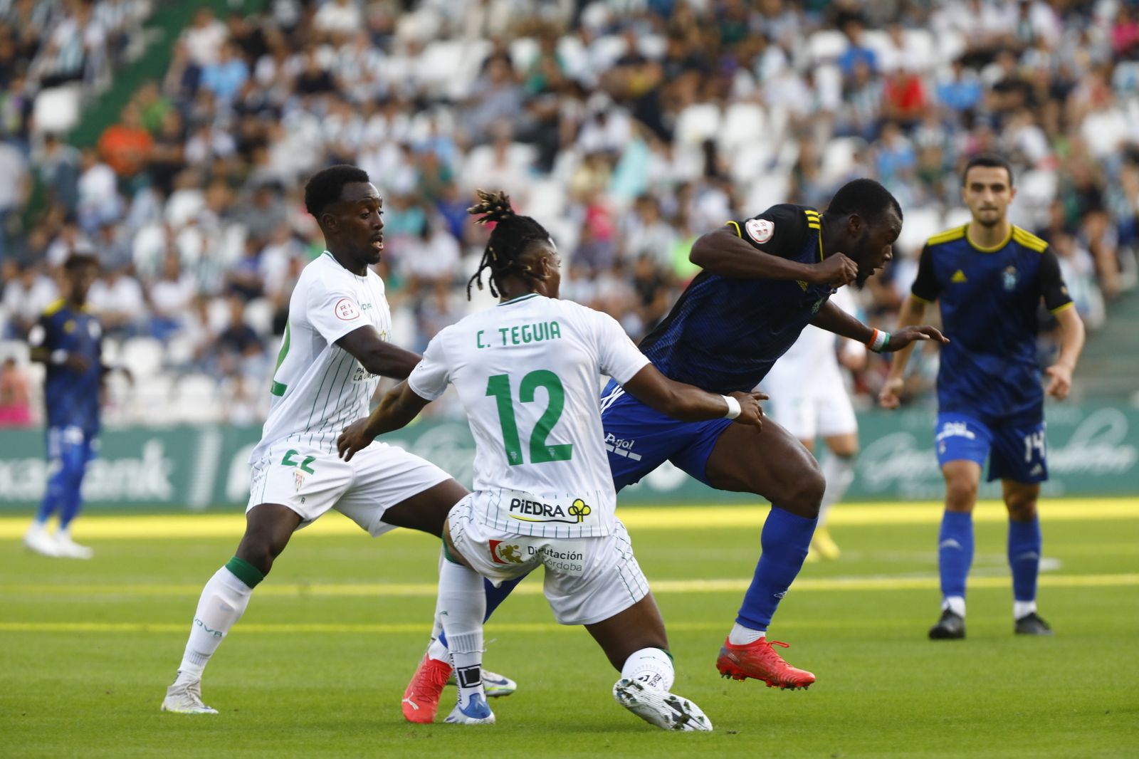 Las mejores imágenes del Córdoba CF - Talavera