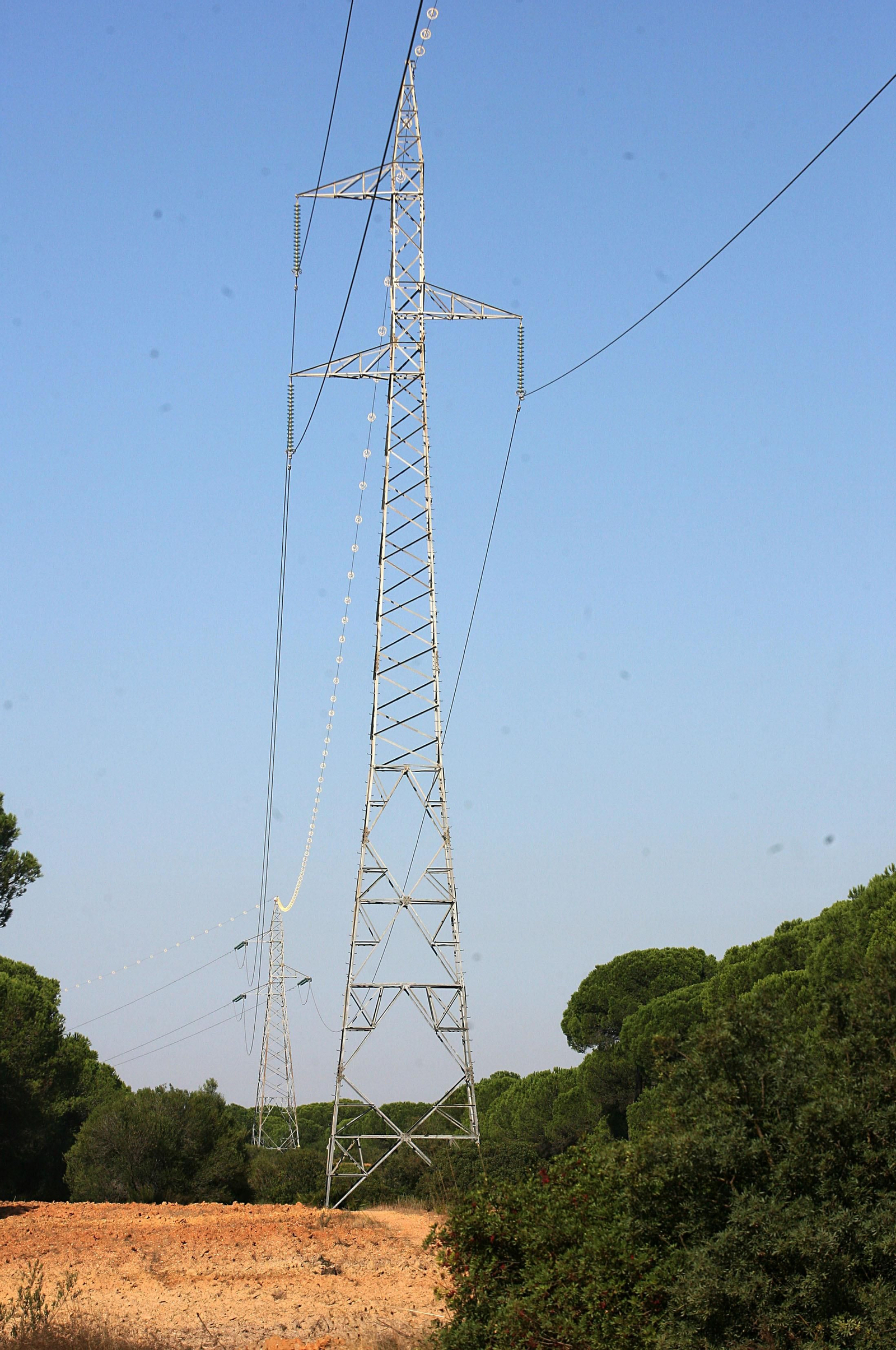 Imagen de la línea de media tensión que discurre por el paraje en el que se ubicará el CEUS.