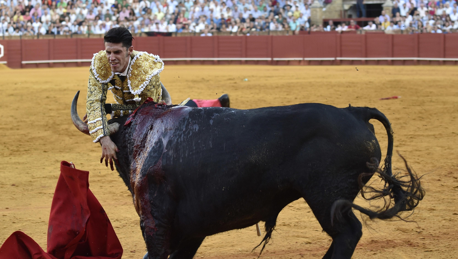 La segunda corrida de la Feria de San Miguel, en imágenes