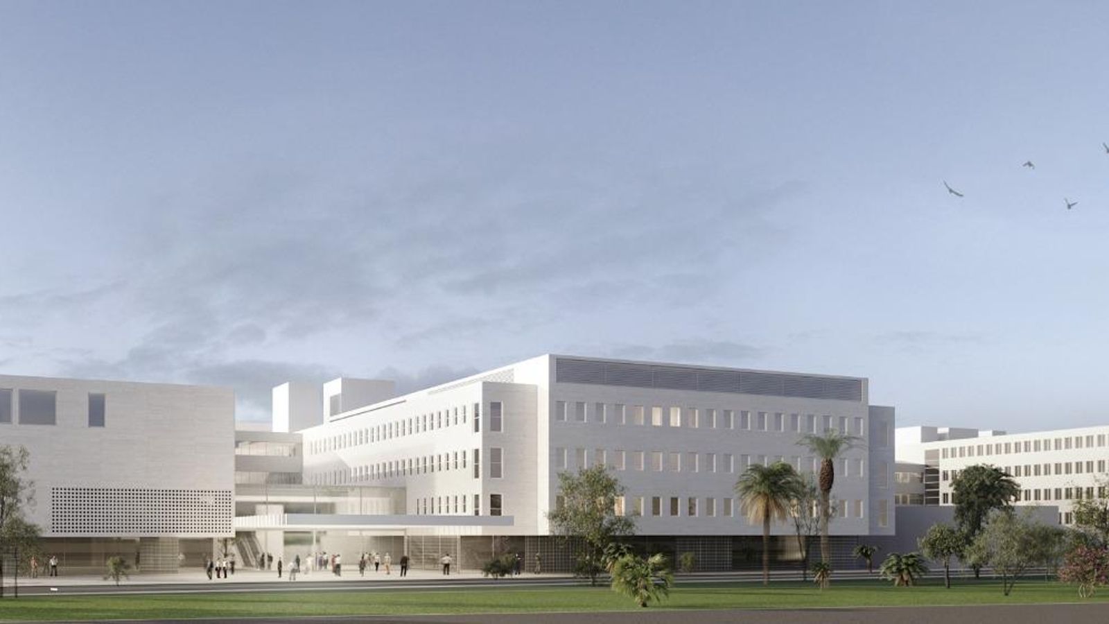 Proyecto del Hospital Materno-Infantil.