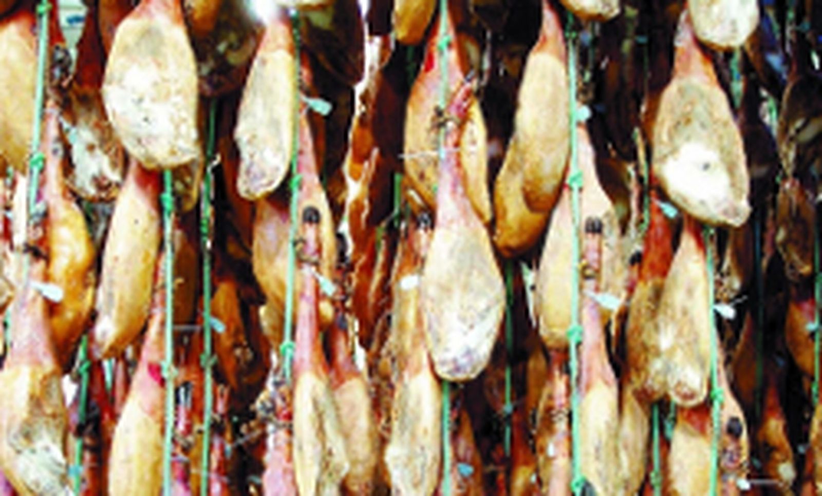 Saboreando Andalucía