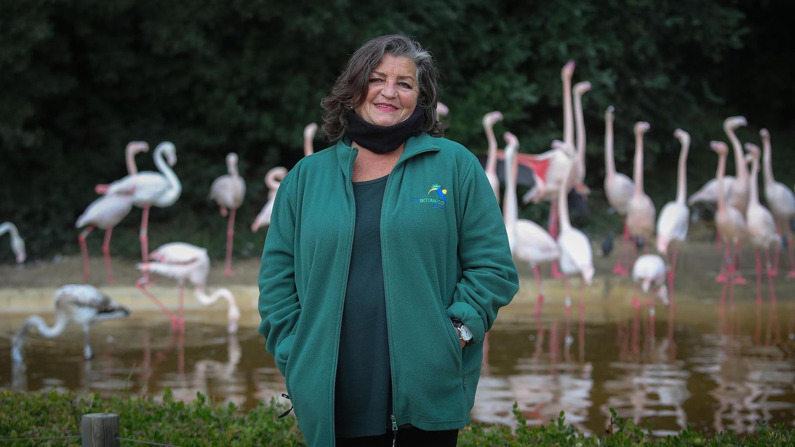 Mateos junto a la zona de los flamencos. La jerezana se enorgullece del proyecto de puesta en libertad de flamencos, un programa de conservación de gran éxito. Mateos junto a la zona de los flamencos. La jerezana se enorgullece del proyecto de puesta en libertad de flamencos, un programa de conservación de gran éxito.