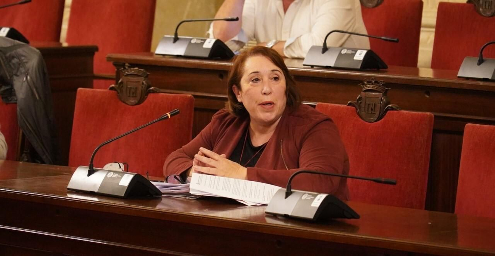 La concejala socialista Carmen Martin. La concejala socialista Carmen Martin.