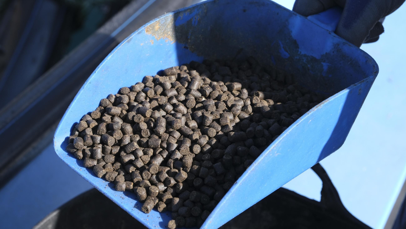 La piscifactoría de El Cañarete, en imágenes