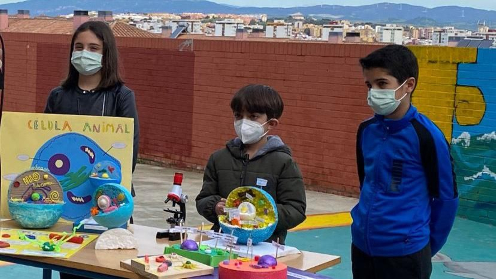 El proyecto presentado con el colegio San García