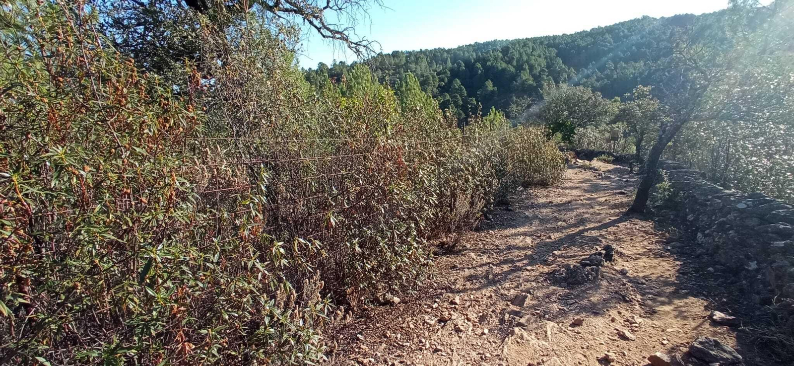 Las imágenes de la Ruta del charco malo