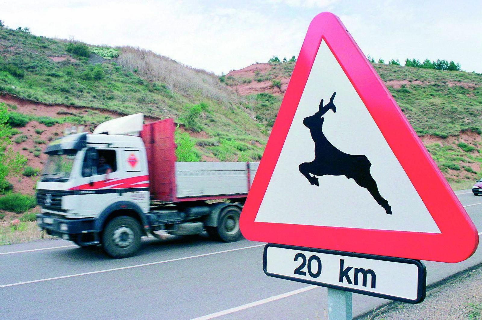 Los tramos en los que existe peligro por animales salvajes están señalizados.