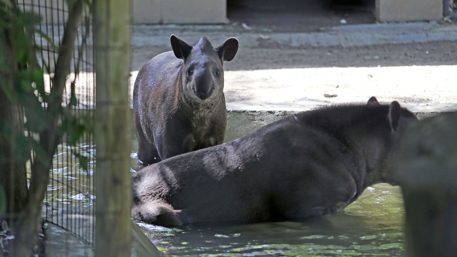 Reapertura del Zoo de Jerez