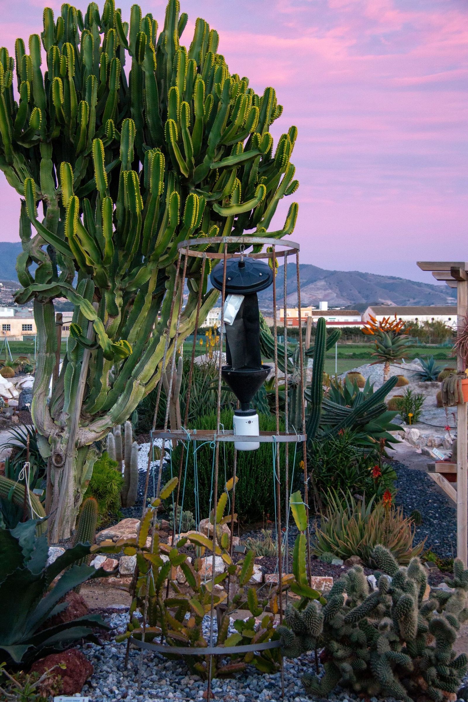 Una de las trampas ubicadas en el Parque de los Pueblos de América de Motril