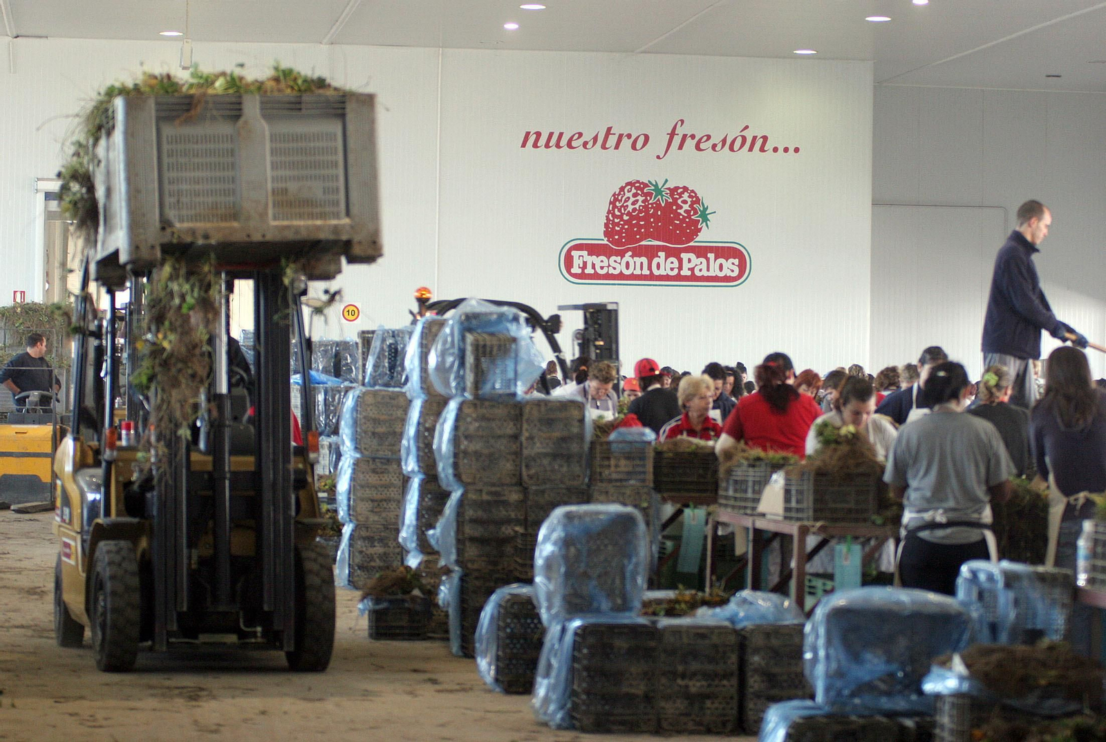 Instalaciones de Fresón de Palos. Instalaciones de Fresón de Palos.