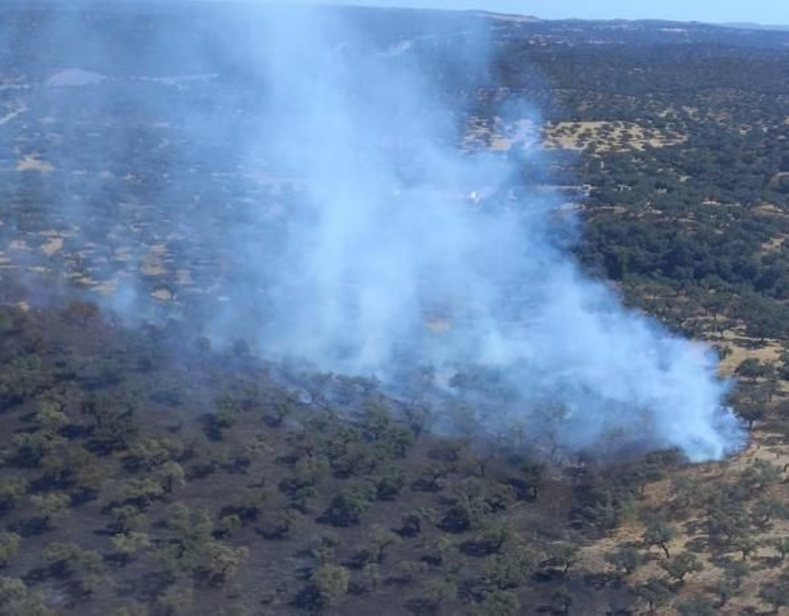 Incendio forestal en Santa Olalla del Cala.