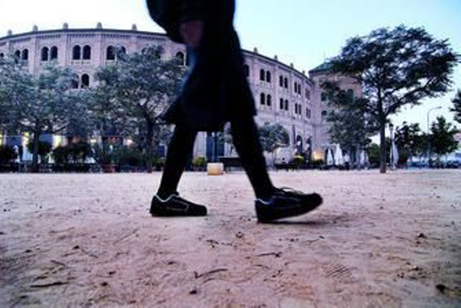 El albero es parte del BIC de la Plaza de Toros.