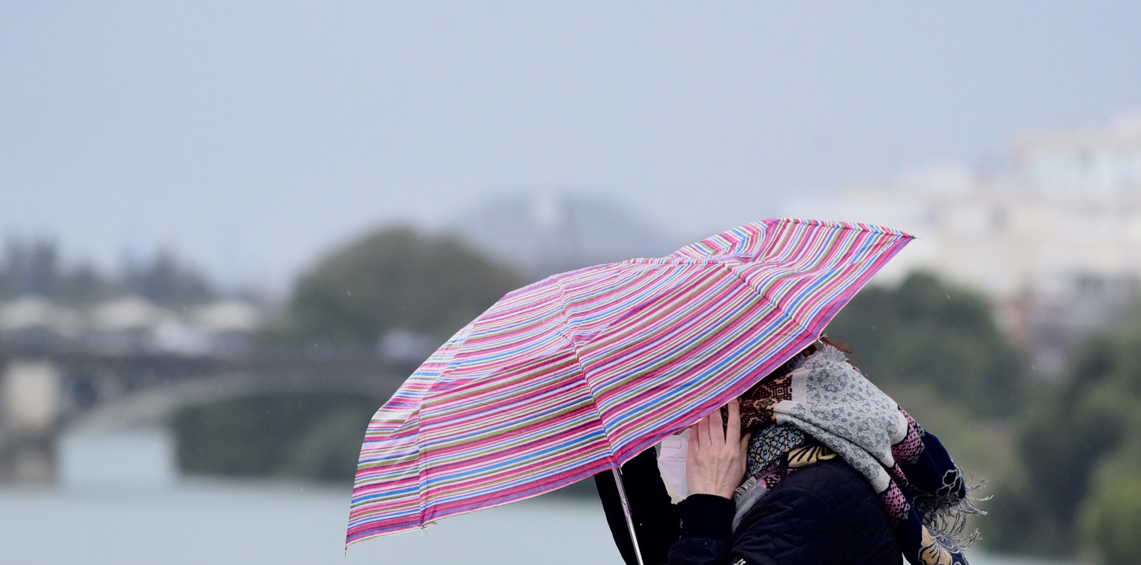 Lluvia y viento en Sevilla