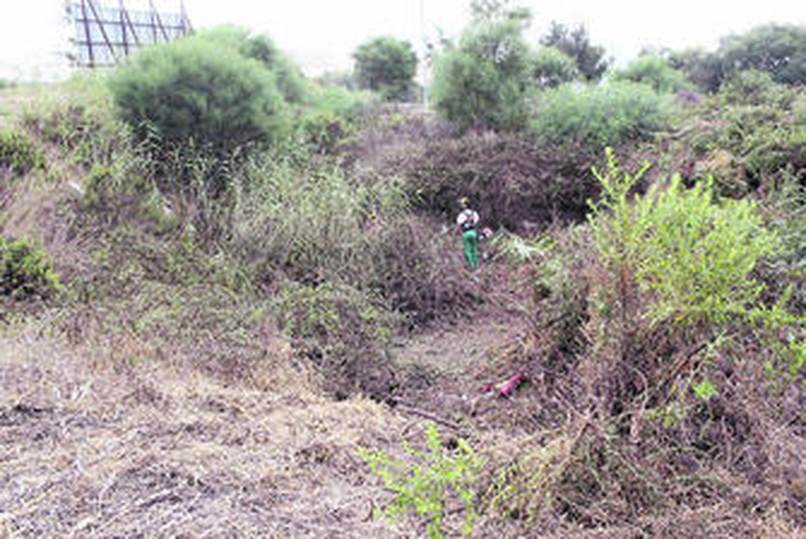 Un joven desbroza un espacio repleto de matorrales