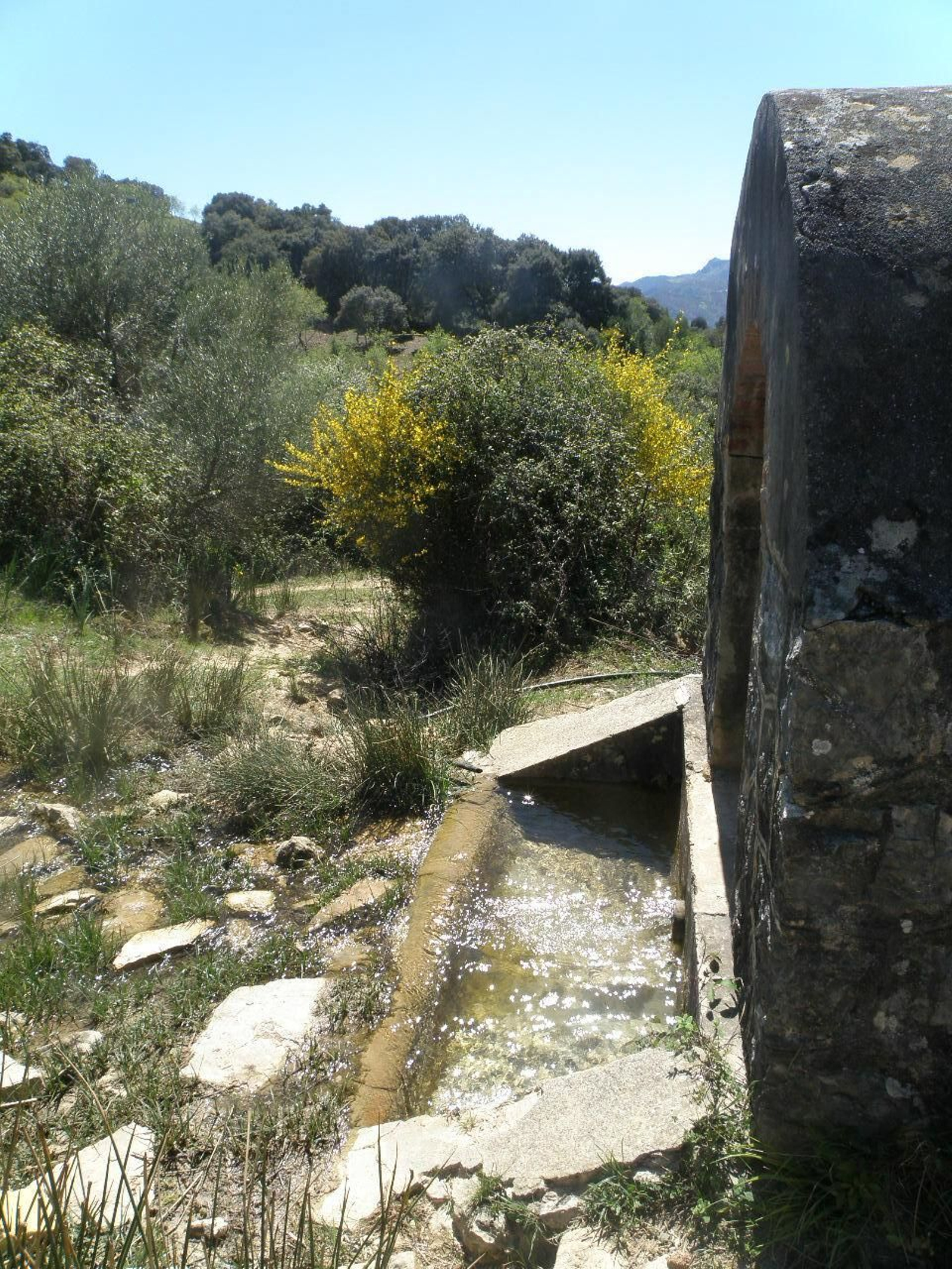 Durante la ruta encontraremos numerosas fuentes.