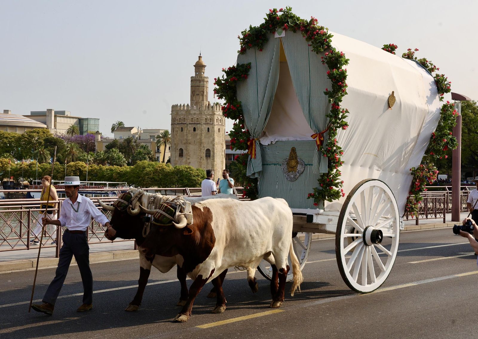 Las mejores fotos de la salida de la Hermandad de Sevilla hacia el Rocío