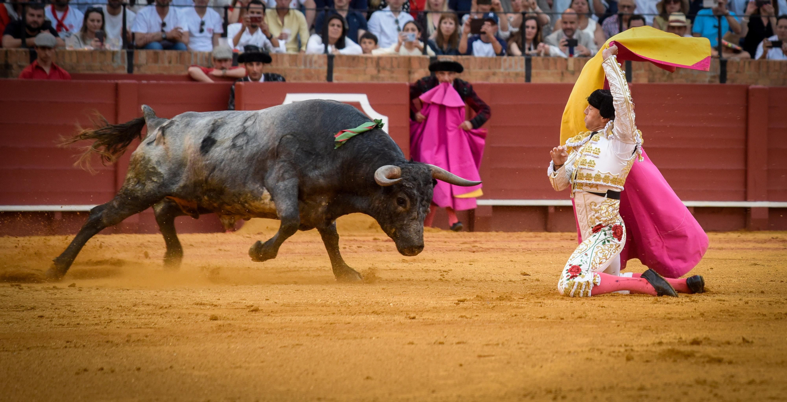 Las imágenes de la corrida de toros de El Fandi, Manuel Escribano y Esaú Fernández