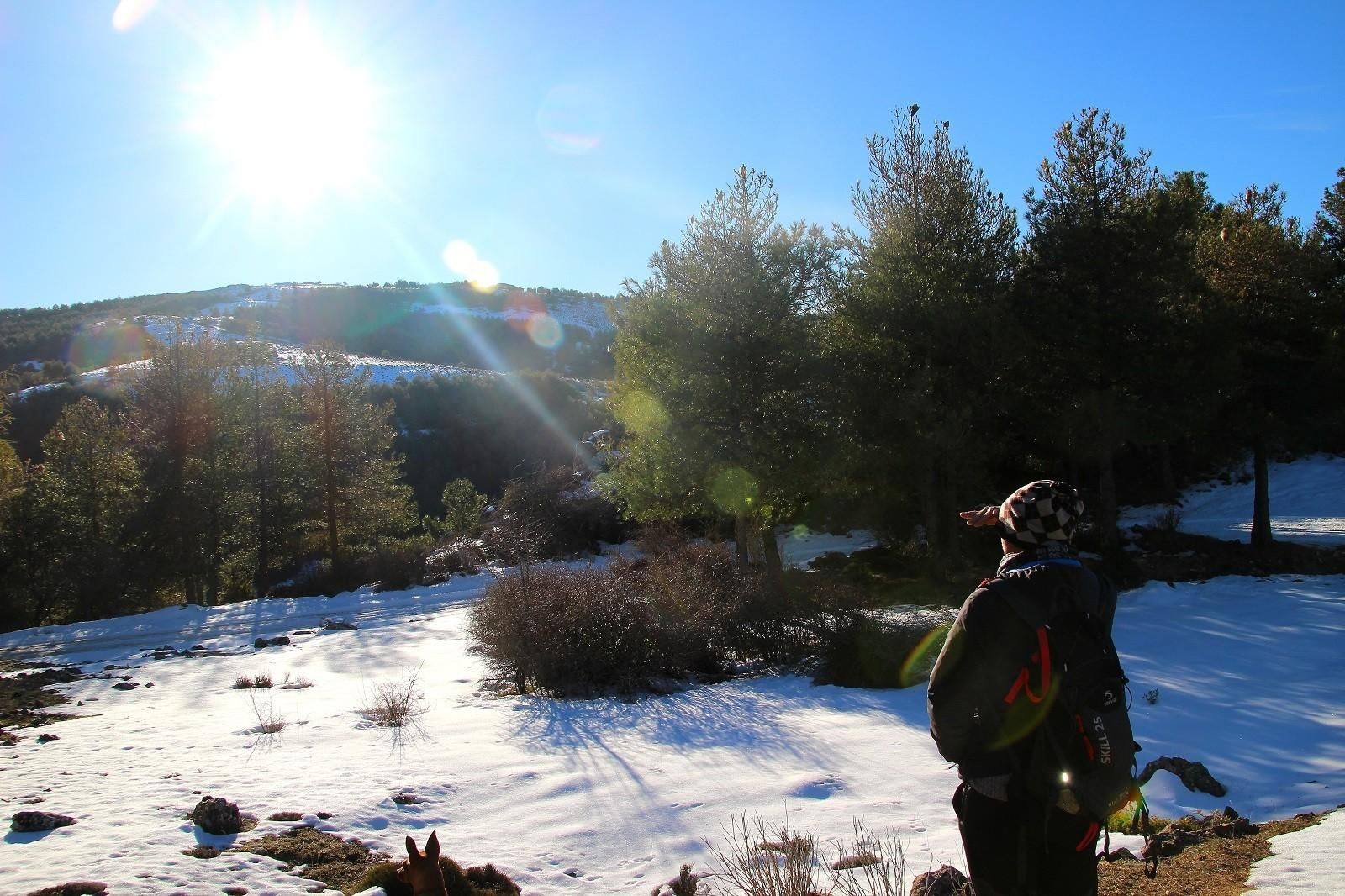 Pontones bajo una capa de nieve. Pontones bajo una capa de nieve.