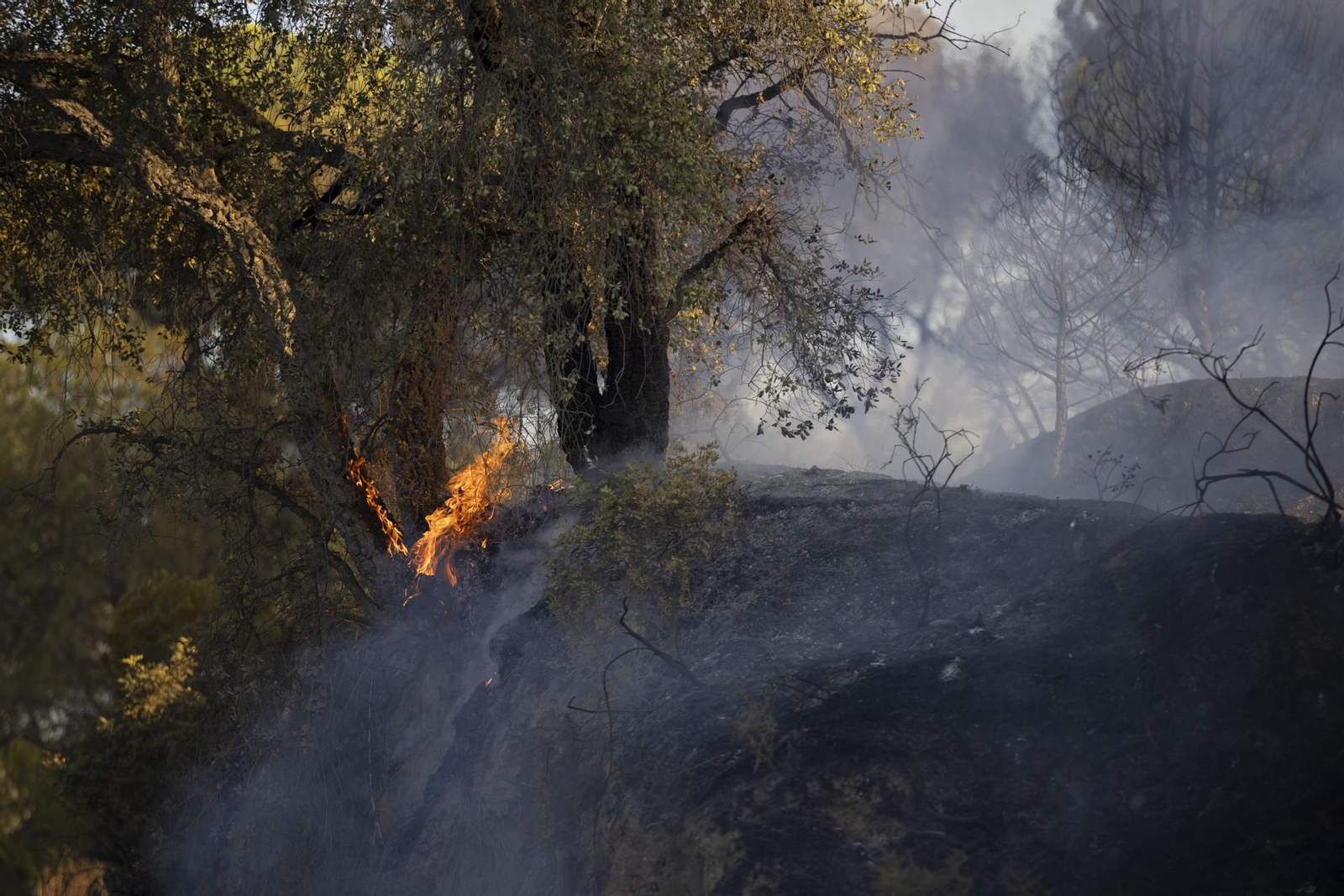 Imágenes del incendio de Bonares