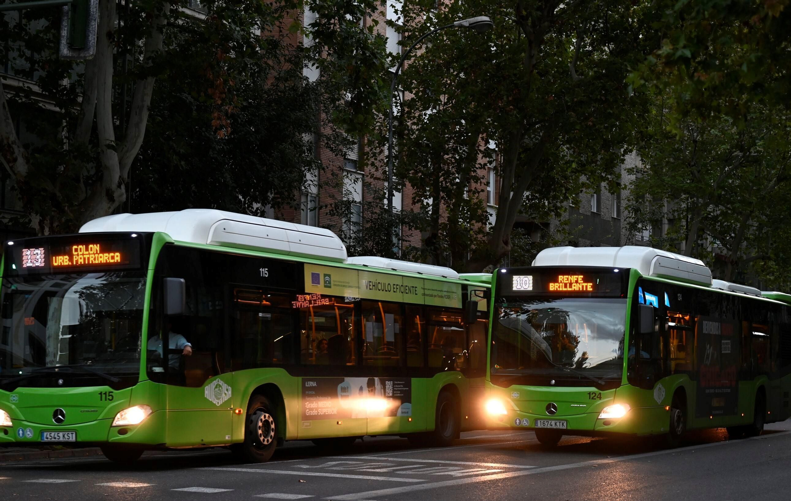 Varios autobuses de Aucorsa.