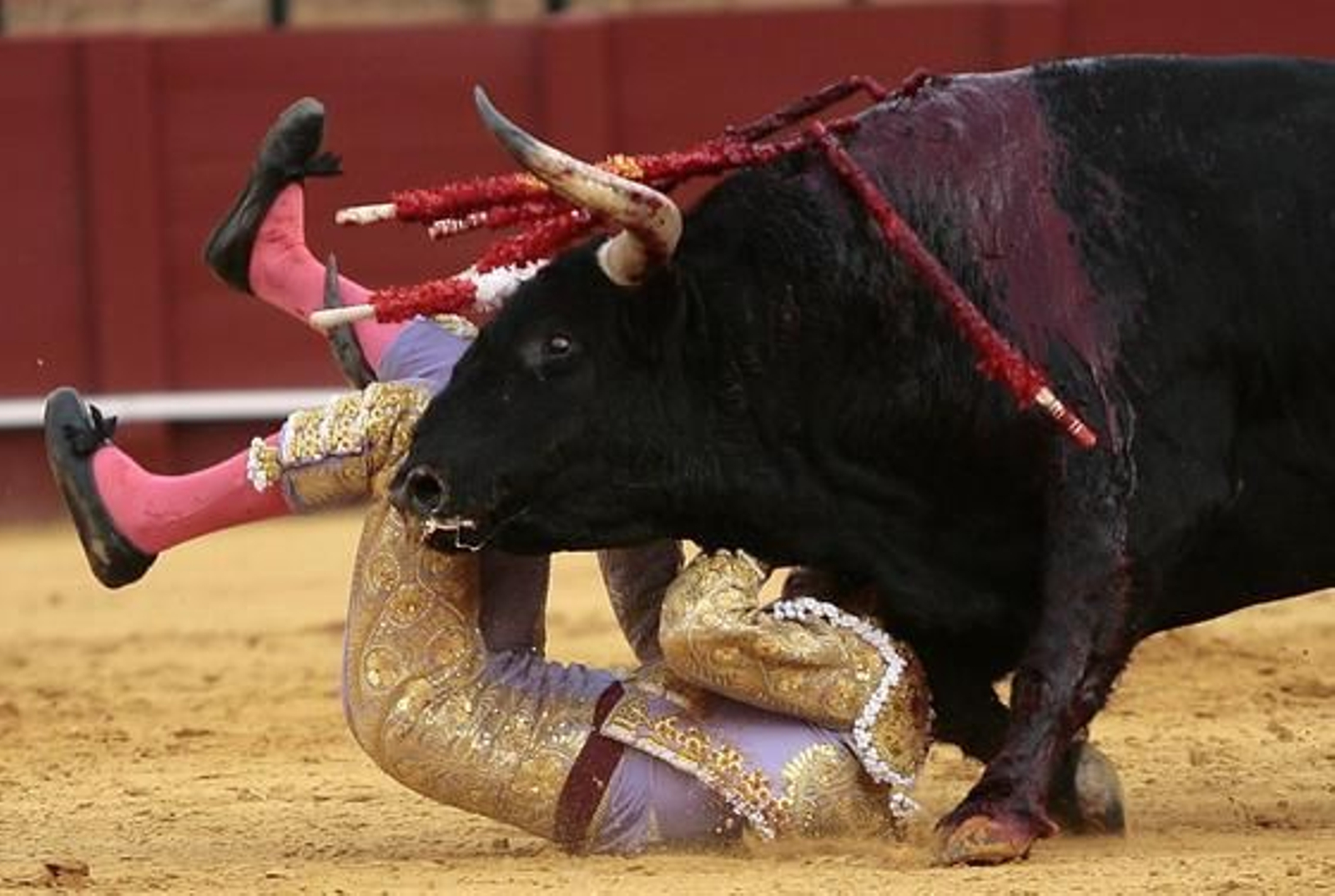 Detalle de la cogida.  Foto: Juan Carlos Muñoz