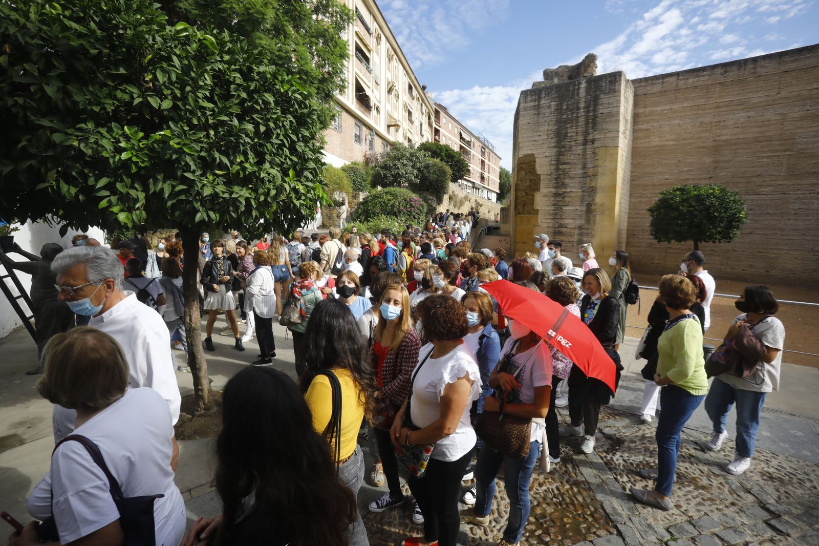 Las fotografías del primer día de apertura de los Patios de Córdoba en otoño