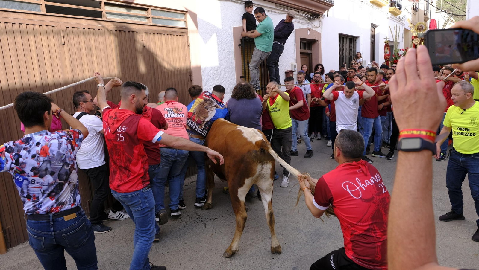 Los toros ensogados de Ohanes, en imágenes