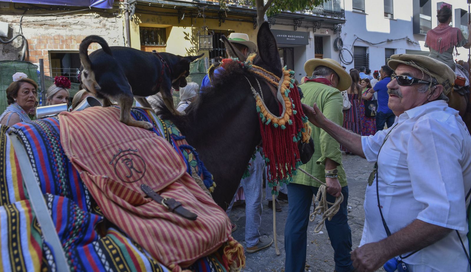 La salida de la Hermandad del Rocío de Triana, en imágenes