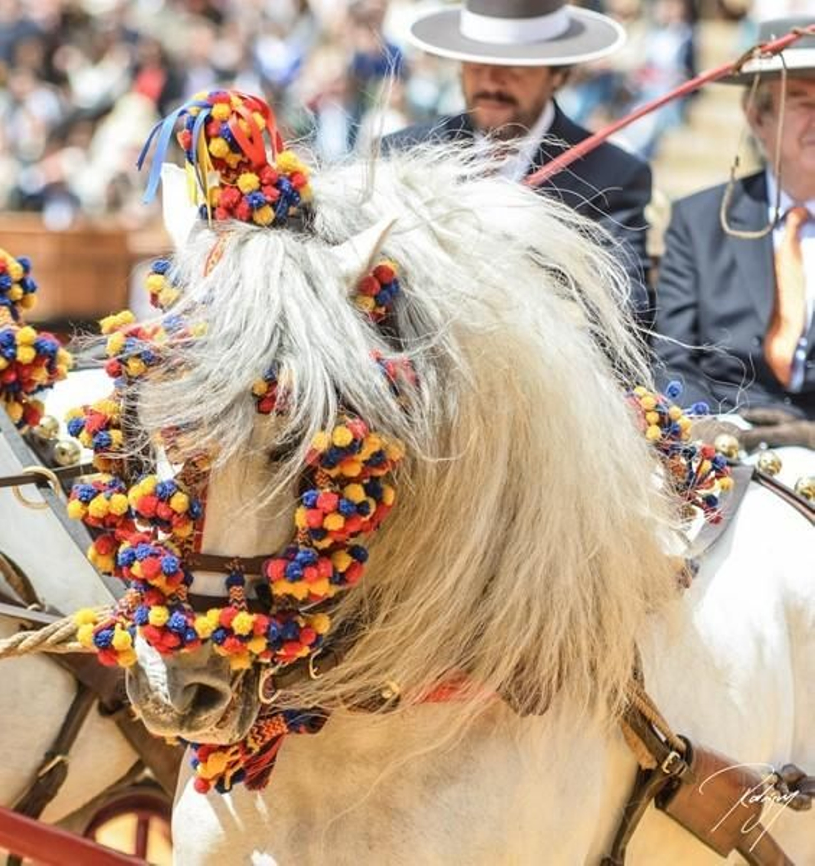 Enganches en Sevilla.