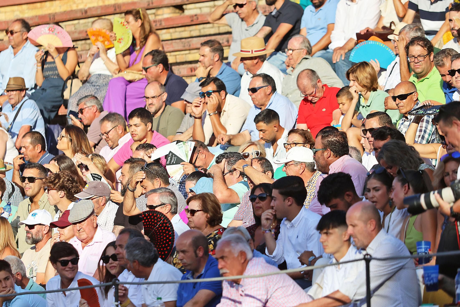 Toros La Merced 2024 Novillada con picadores(