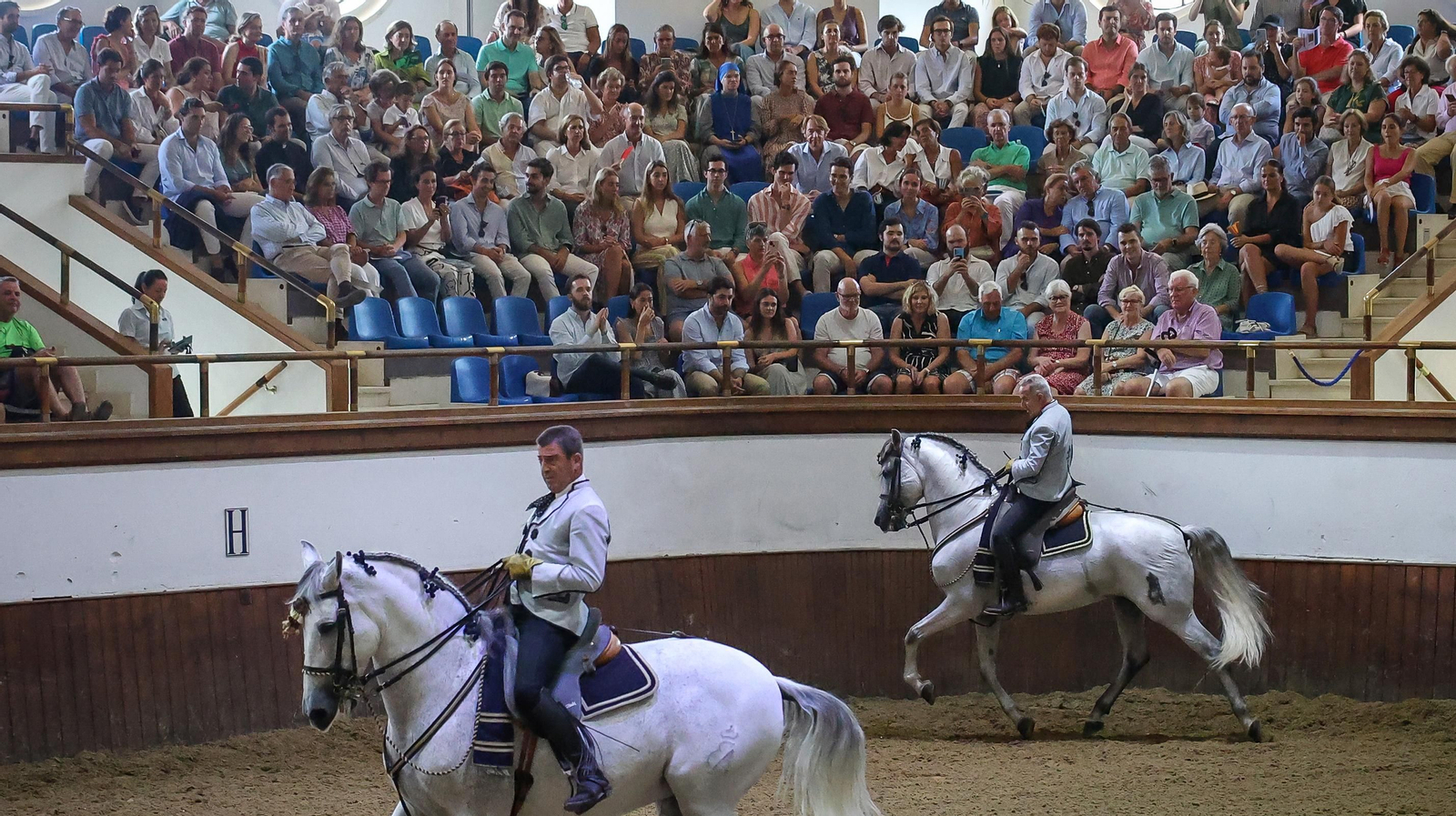 'Día Mundial del Caballo' en la Real Escuela de Jerez