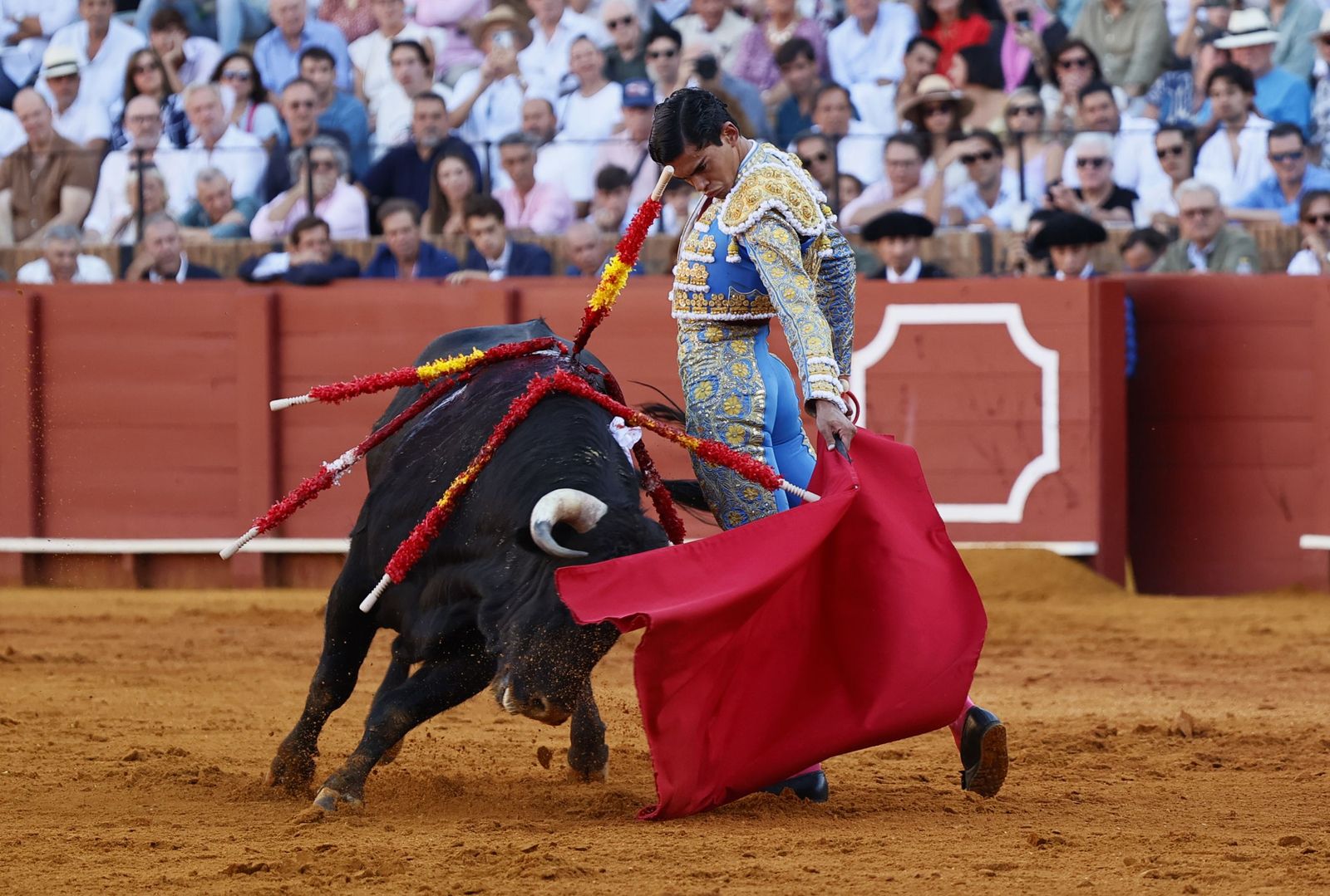 Las imágenes de la novillada