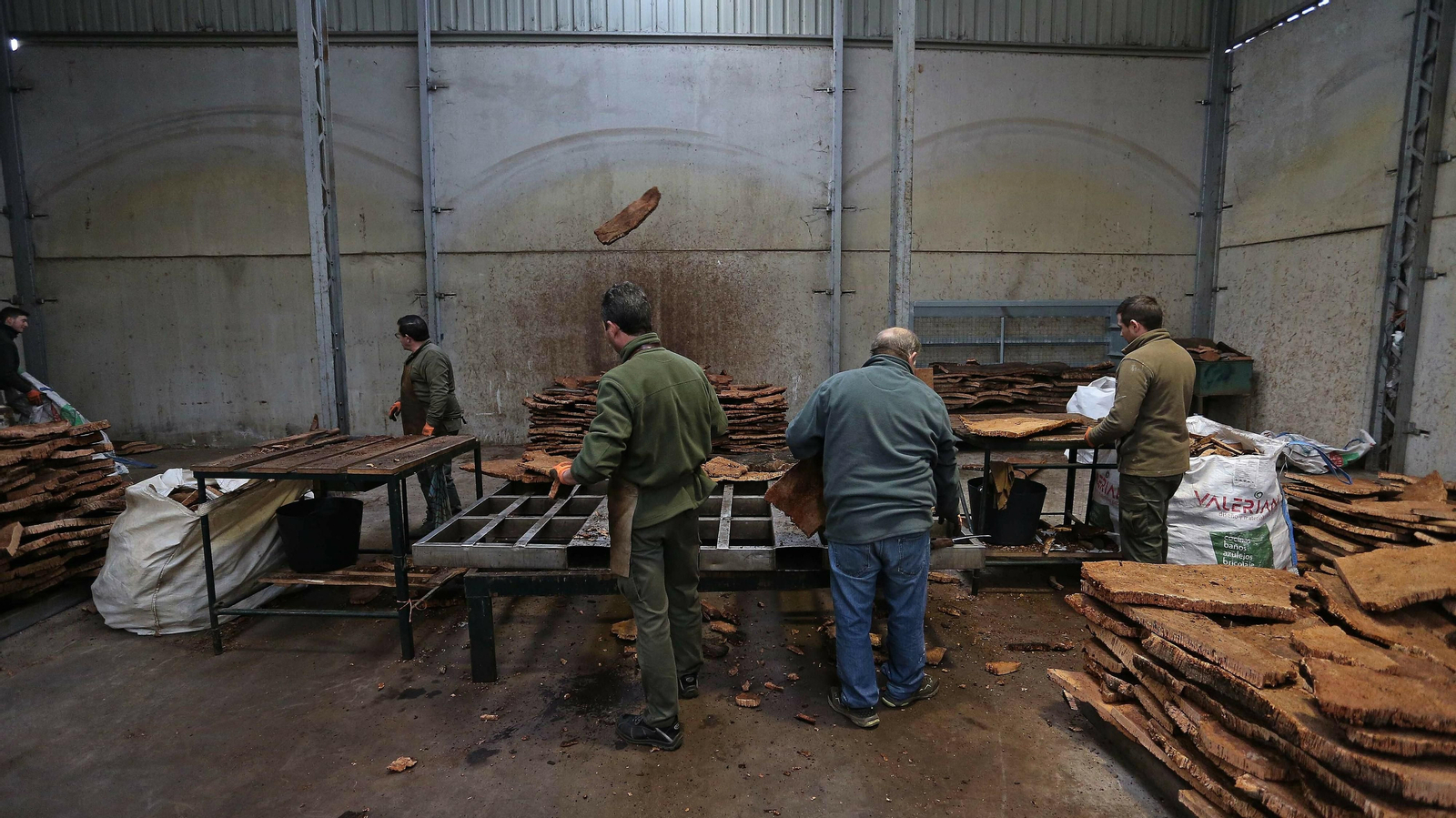 Las mejores fotos de la finca La Almoraima